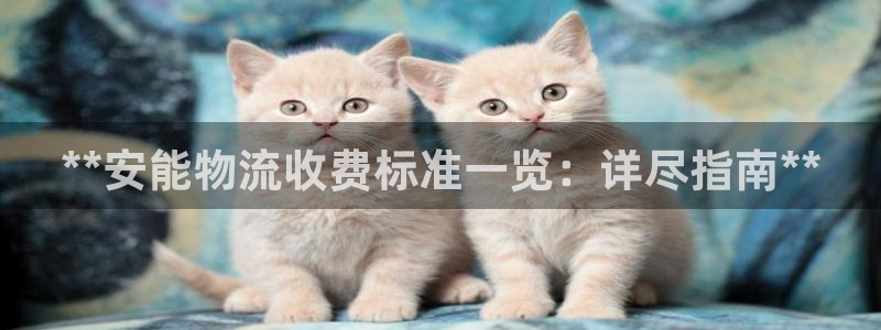 28圈官网注册：**安能物流收费标准