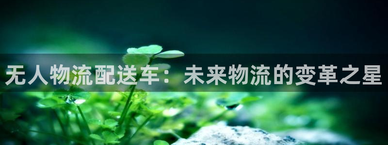 28圈注册流程：无人物流配送车：未来