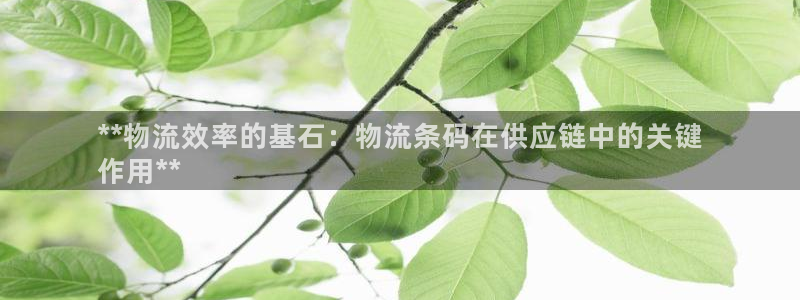 加拿大28圈注册链接：**物流效率的