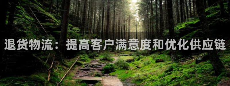 28圈充值不到账