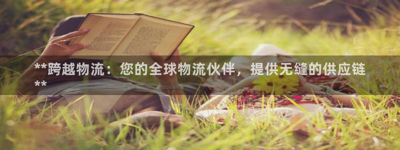 28圈登录流程：**跨越物流：您的全