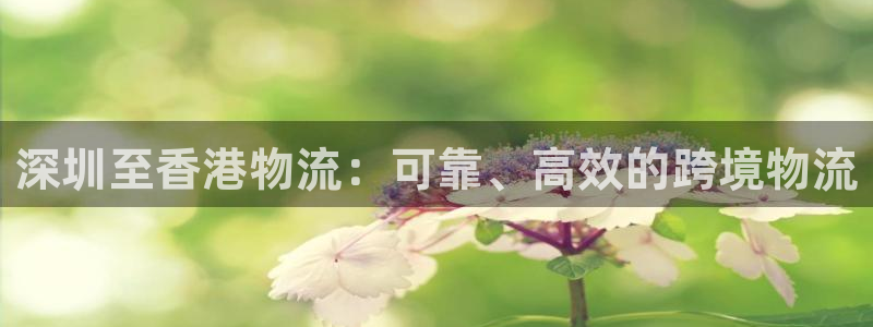 28圈模拟