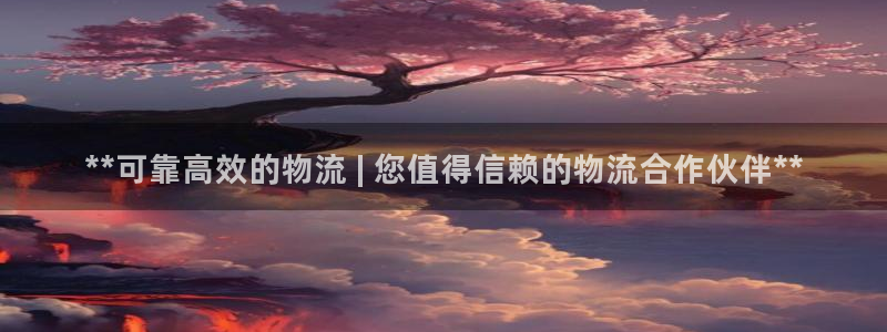 28圈加拿大6.0：**可靠高效的物