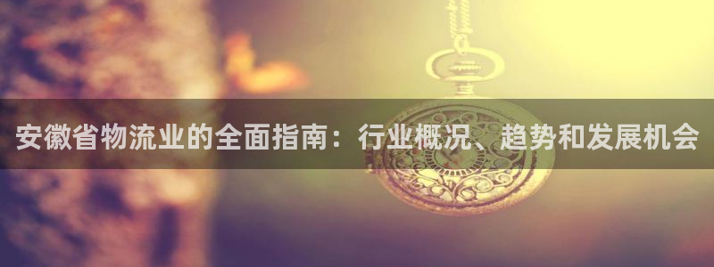 28圈软件是什么：安徽省物流业的全面