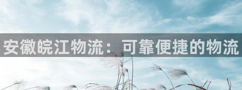 28圈登录不上咋回事：安徽皖江物流：