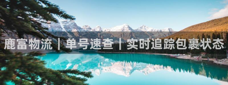 28圈登陆网：鹿富物流｜单号速查｜实