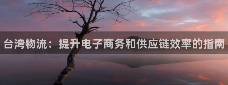 28圈反水：台湾物流：提升电子商务和