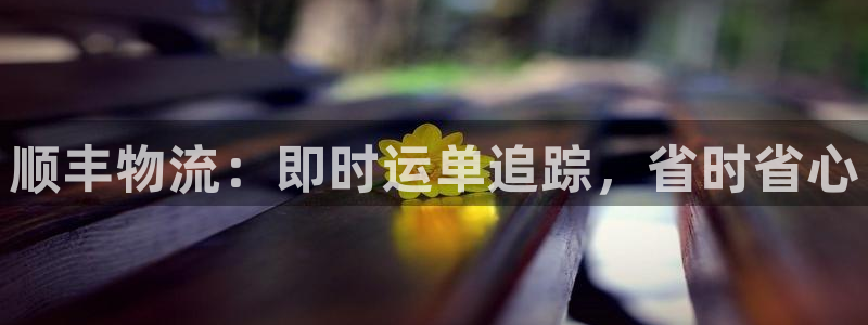 28圈二维码：顺丰物流：即时运单追踪