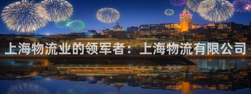 28圈怎么注册：上海物流业的领军者：