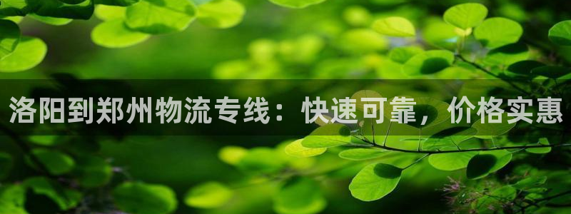 28圈口