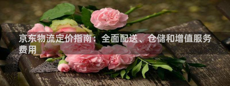 28圈加拿大是什么：京东物流定价指南