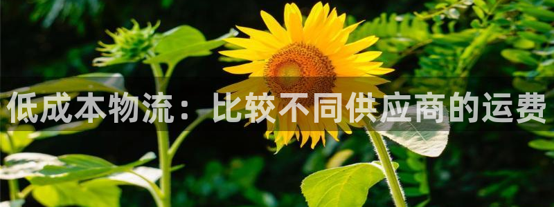 南宫28圈官网：低成本物流：比较不同