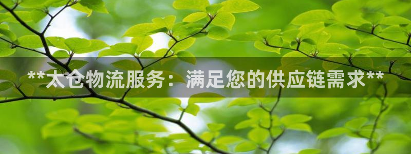 28圈能提现吗：**太仓物流服务：满