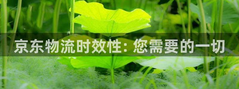 28圈.ccmpc29官网版：京东物