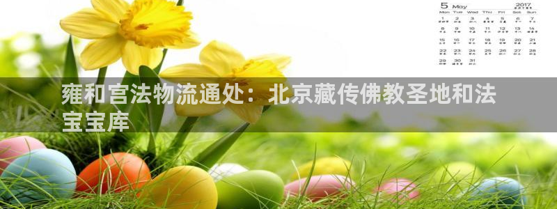 28圈黑不黑