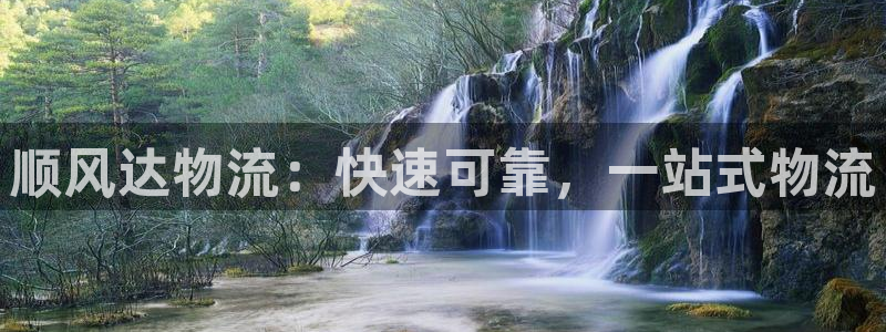 28圈下载二维码：顺风达物流：快速可