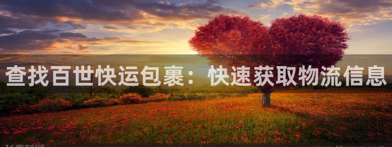28圈官方版正版：查找百世快运包裹：