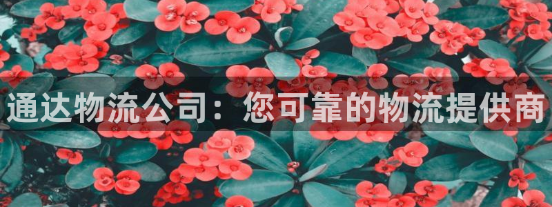 28圈官网下载链接是什么：通达物流公