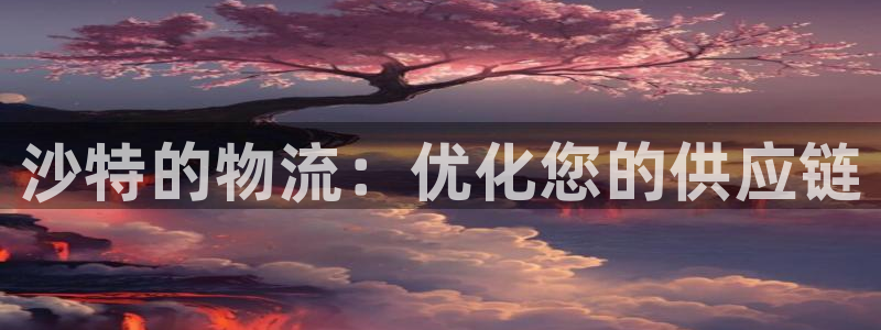 28圈模拟器下载：沙特的物流：优化您