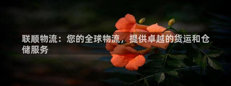 28圈登录：联顺物流：您的全球物流，