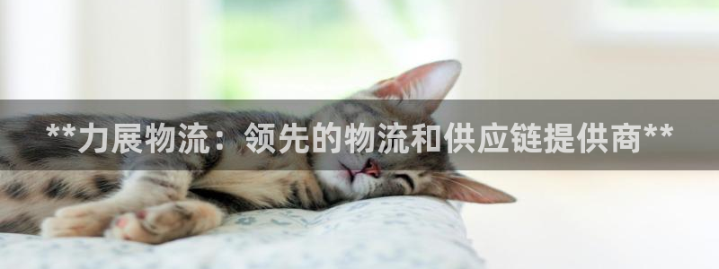 28圈加拿大走势