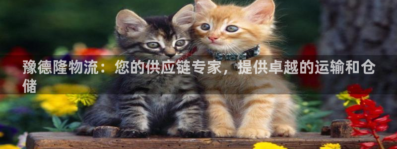 28圈加拿大在线预测