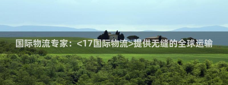 28圈ip被限制怎么解决：国际物流专