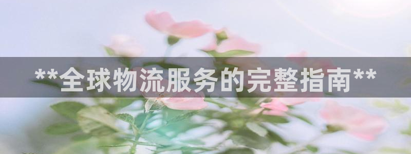 28圈模拟器下载：**全球物流服务的