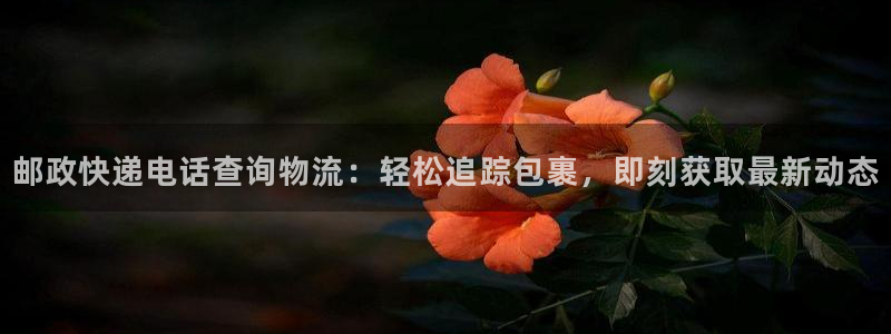 28圈返水怎么算的：邮政快递电话查询