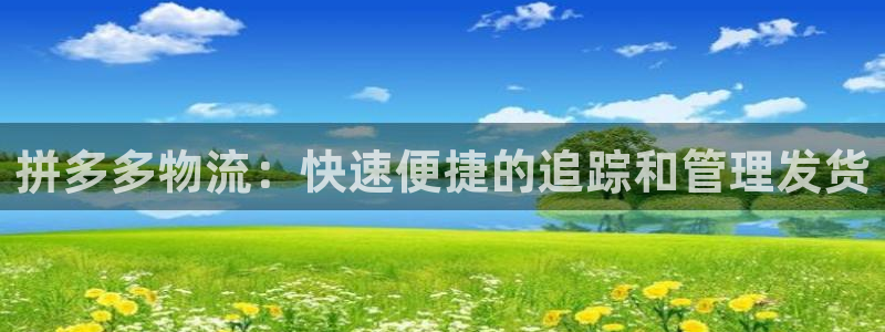 28圈为什么没有赢过一次：拼多多物流