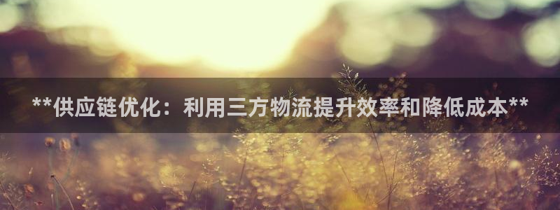 28圈昵称：**供应链优化：利用三方