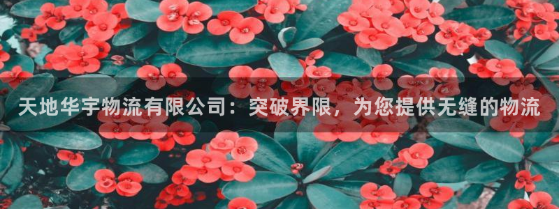 28圈官网开奖结果预测