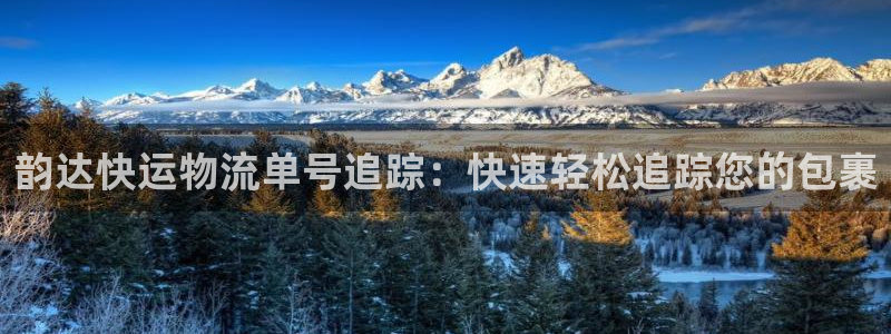 28圈那个才是充值账号