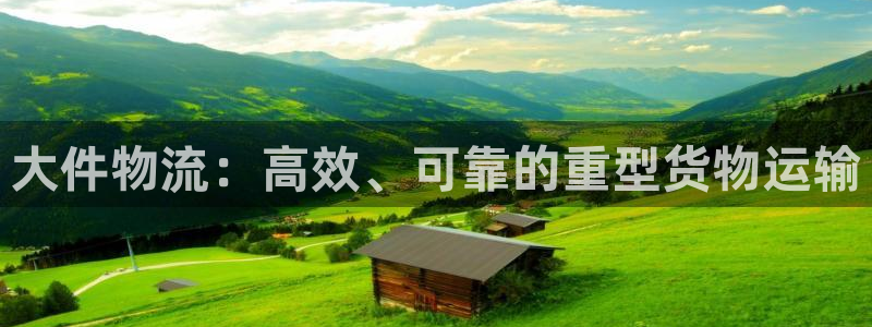 28圈官网开奖结果预测查询