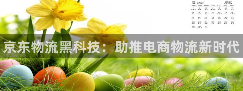 28圈充值不到账