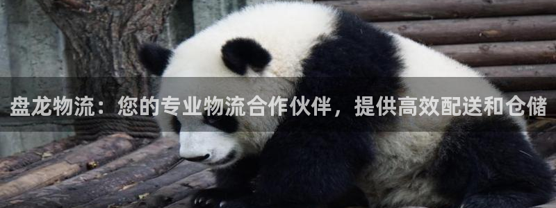 28圈防失联网址：盘龙物流：您的专业
