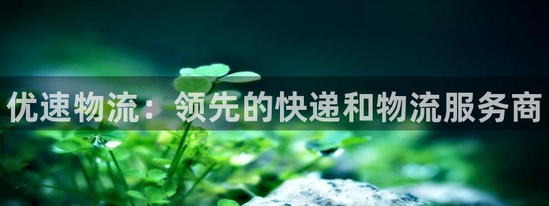 28圈下载链接是多少：优速物流：领先