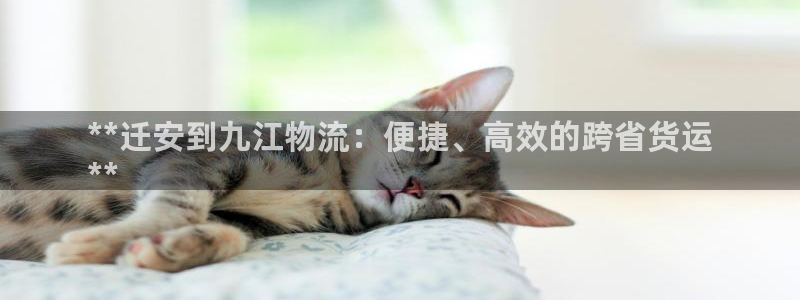 28圈注册号：**迁安到九江物流：便