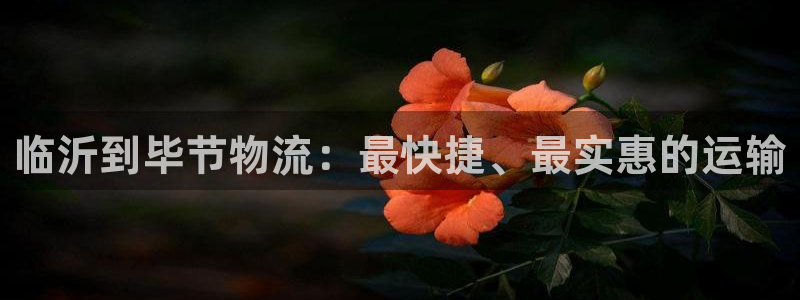 28圈里的财神