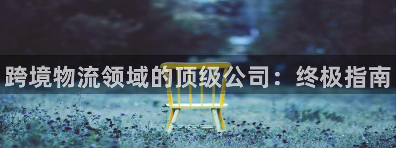 28圈预测网：跨境物流领域的顶级公司