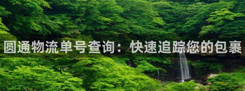 28圈注册登录流程：圆通物流单号查询