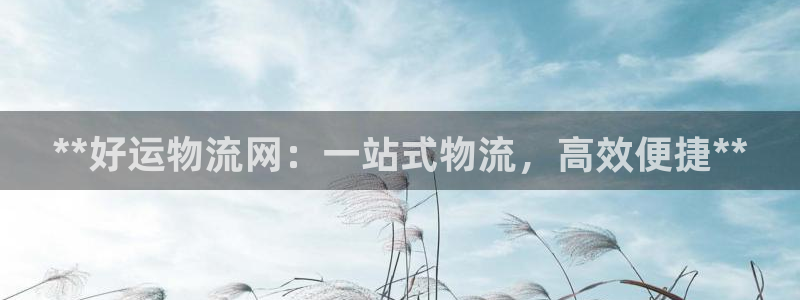 28圈娱乐官网网页入口