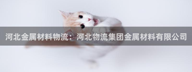 28圈加拿大是什么：河北金属材料物流