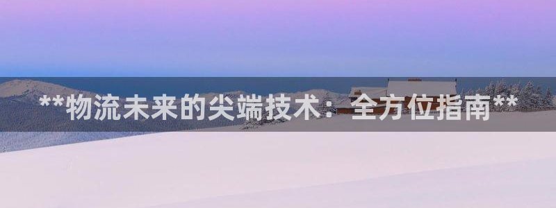28圈返水怎么算的：**物流未来的尖