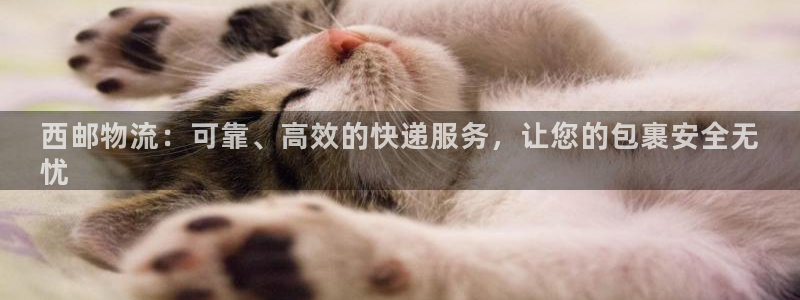28圈注册用户名是什么：西邮物流：可