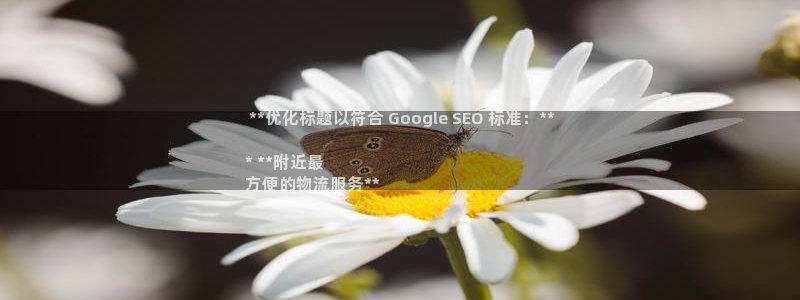 28圈.ccm南宫