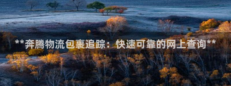 28圈充值不处理：**奔腾物流包裹追