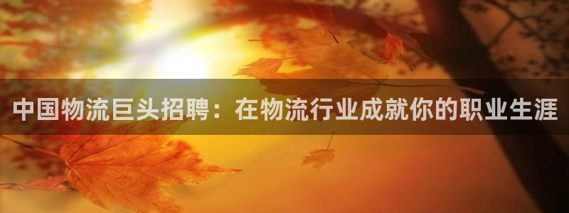 28圈链接多少