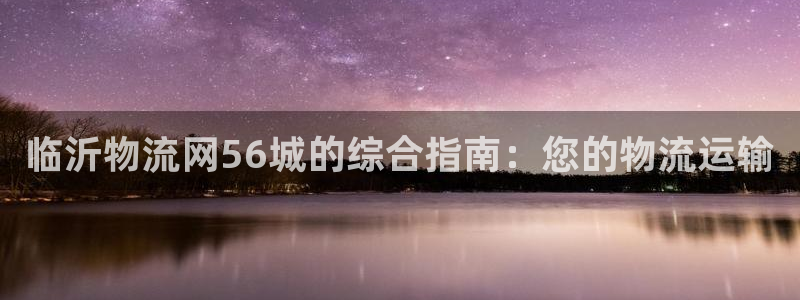 28圈怎么下载教程：临沂物流网56城