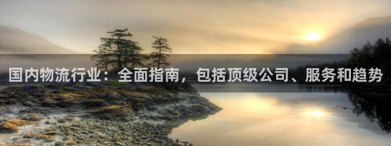 28圈麻将：国内物流行业：全面指南，